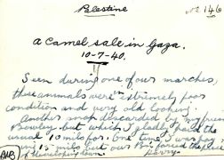 Palestine, a camel sale in Gaza 10 Jul 1940