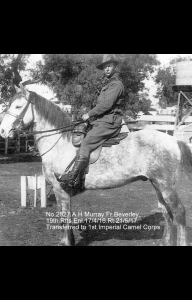 File:2827.Murray 1.jpg