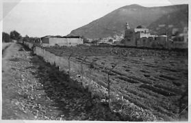 Jewish farm