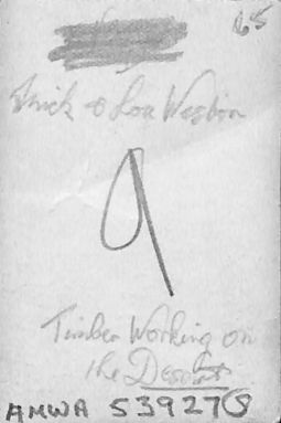 P3 Album 2 144.jpg