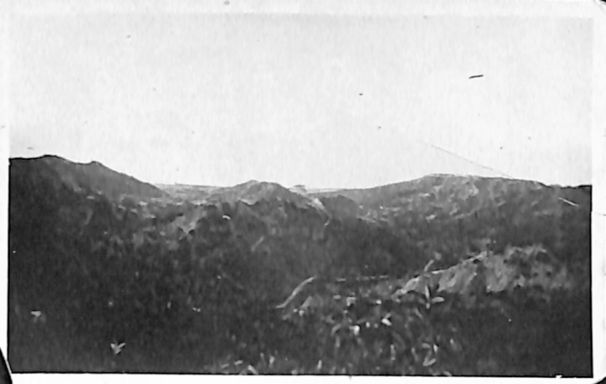 P2 Album 1 291.jpg