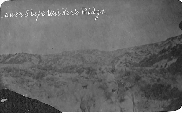 P2 Album 1 319.jpg