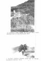 Thumbnail for version as of 12:09, 17 December 2023
