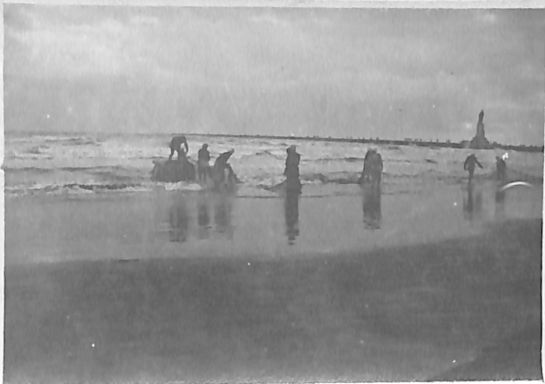 P2 Album 1 389.jpg