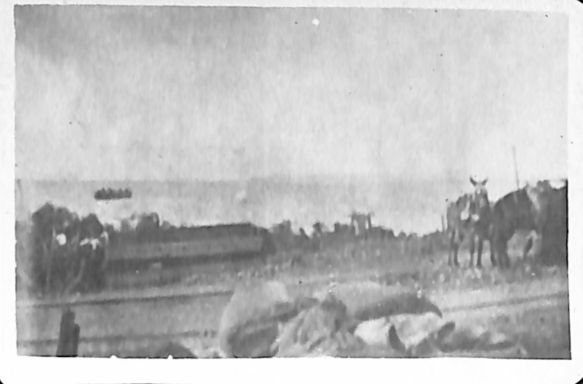 P2 Album 1 295.jpg