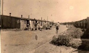 Springbok Ave, Oflag 1113 Hohenfals 1943.jpg