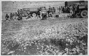 halt for dinner while in convoy near Palestine