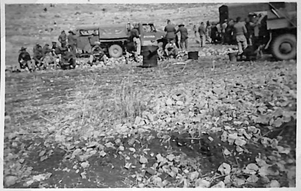 halt for dinner while in convoy near Palestine