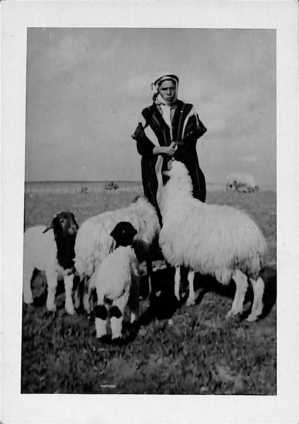File:Mervyn 014.jpg