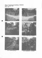Thumbnail for version as of 12:17, 17 December 2023