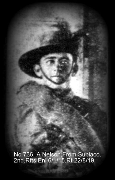 File:736.A.Nelson.jpg