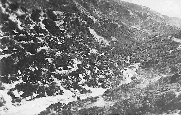 P2 Album 1 331.jpg