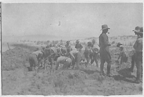 P3 Album 2 190.jpg