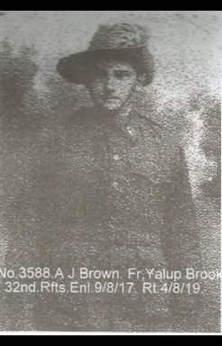 3588.Brown.jpg