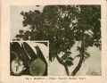 Thumbnail for version as of 14:33, 17 December 2023