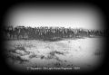 Thumbnail for version as of 15:48, 10 April 2024