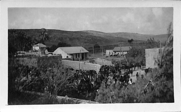 P2 Album 1 307.jpg