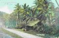 Thumbnail for version as of 19:54, 14 January 2024