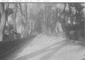 Thumbnail for version as of 15:01, 17 December 2023