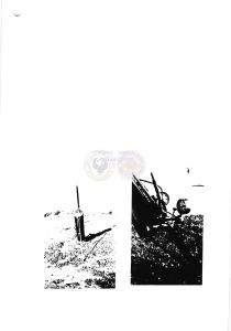 T7-WAVDC.028.jpg
