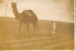 John Morley Campbell - WX6075 226.jpg