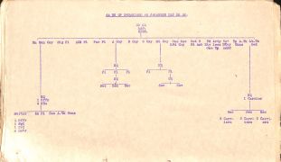 PD245 203.jpg