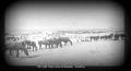 Thumbnail for version as of 15:40, 10 April 2024