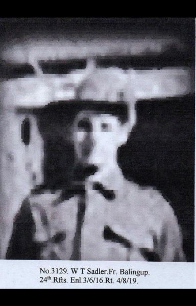 File:3129.Sadler 1.jpg