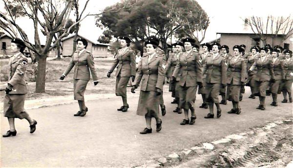 1956 Training camp