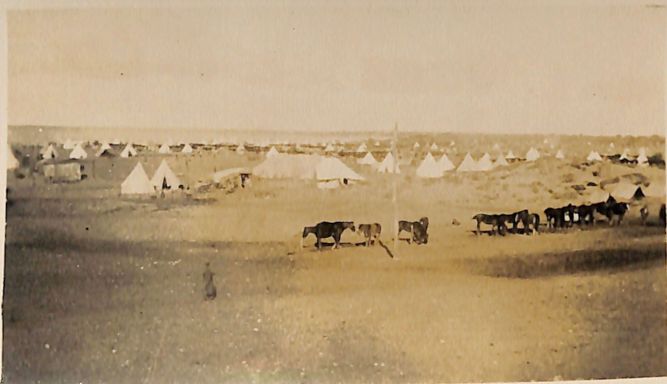P2 Album 1 237.jpg