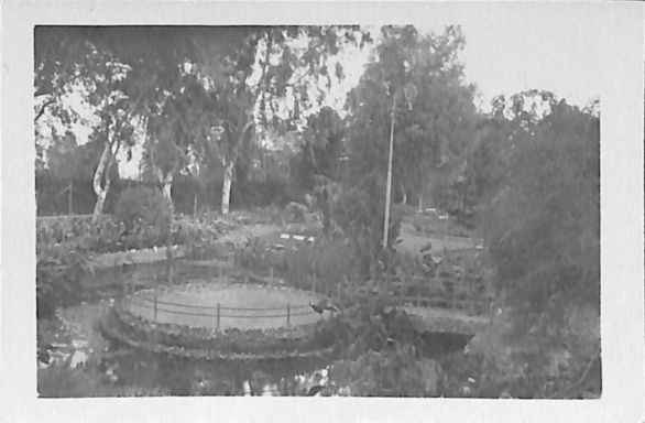 P2 Album 1 277.jpg