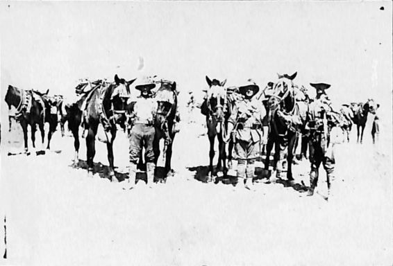 P3 Album 2 151.jpg