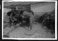 Thumbnail for version as of 12:53, 16 May 2025