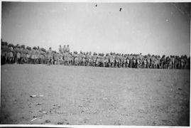 at the donkey races in Palestine