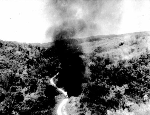 CD461 245.jpg