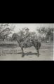Thumbnail for version as of 12:11, 9 April 2024