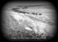 Thumbnail for version as of 15:36, 10 April 2024