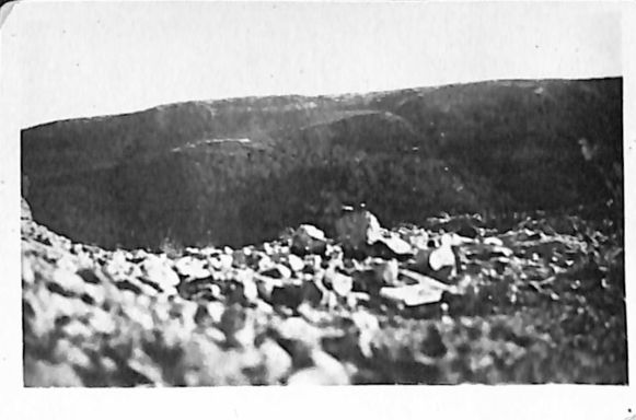 P2 Album 1 293.jpg