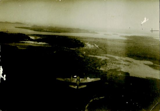 CD461 146.jpg