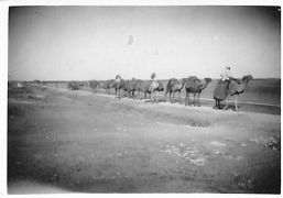 John Morley Campbell - WX6075 169.jpg