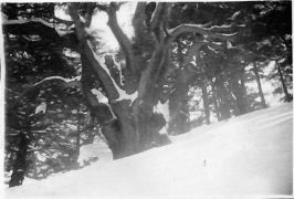 John Morley Campbell - WX6075 367.jpg
