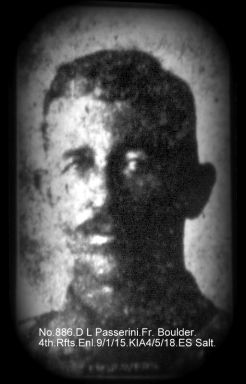 PASSERINI, David Louis - 886