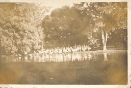 Zoological Gardens in Cairo