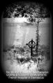 Thumbnail for version as of 13:40, 9 April 2024