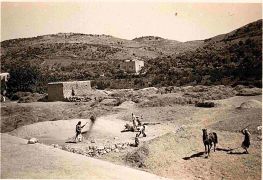 Al-Falya 5 Sep 1940