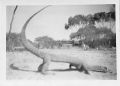 Thumbnail for version as of 15:22, 17 December 2023