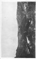 Thumbnail for version as of 15:05, 29 October 2024