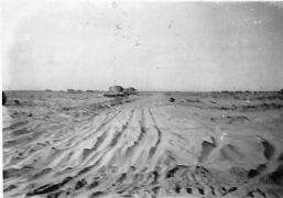 tanks in the desert at Alamein