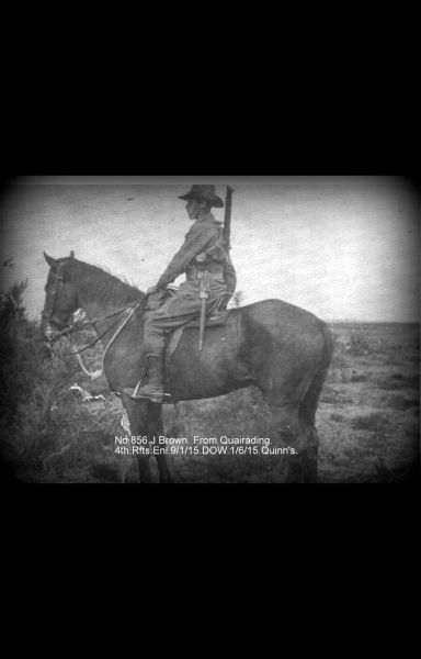 File:856.Brown 1.jpg