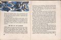 Thumbnail for version as of 10:45, 14 July 2024